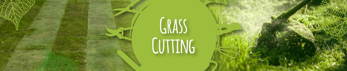 Grass Cutting & Lawn Mowing Services in Barnsley