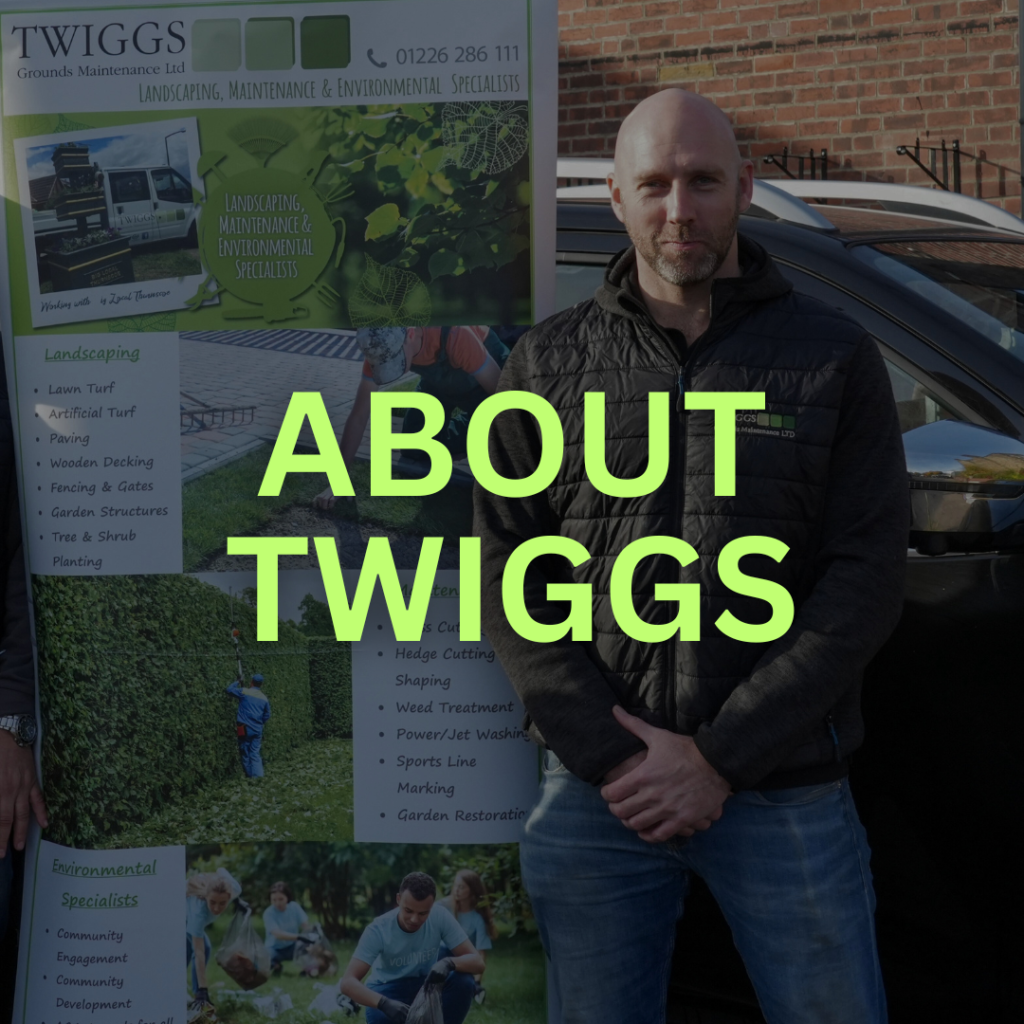 About Twiggs - See more...