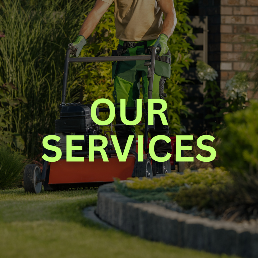 Our Services - See more...