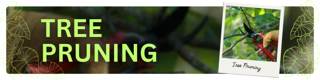 Tree Pruning Banner 1