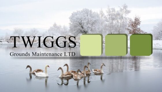 twiggs banner